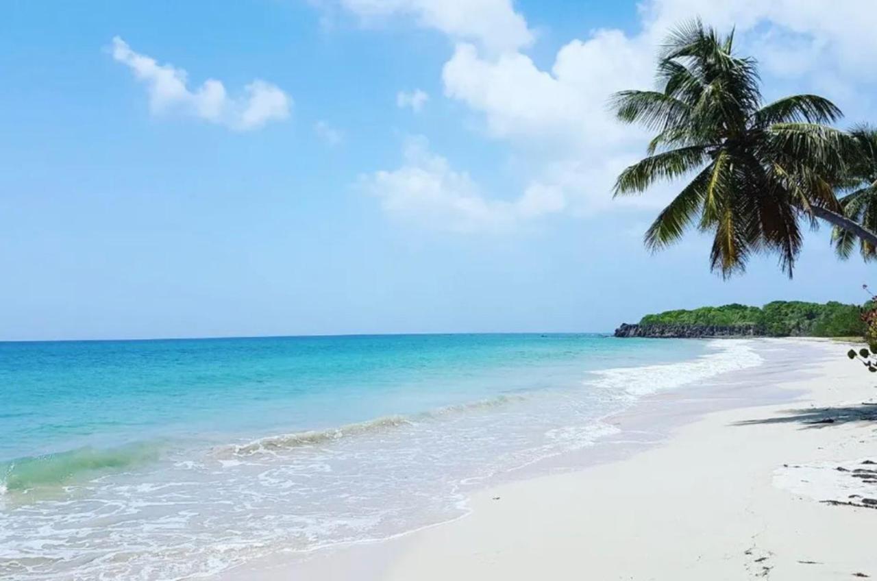 - Les Pieds Dans L'Eau A 50M De La Plage, Cote Mer Caraibe - Domaine De L'Anse Caritan - Sainte-Anne - Exterior foto